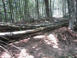 Dólmen Jentilzulo  (Julio  2013)