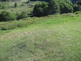 bious oumettes cabane tumulua