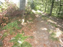 Túmulo Maizegur  (Julio  2013)