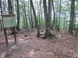 Dólmen Beitzeta  (Julio 2013) Sin Vallas