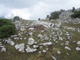 Dólmen Olasoro  (Agosto  2013)