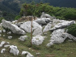 Dólmen Olasoro  (Agosto  2013)