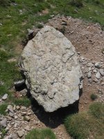 la rinconada zutarria