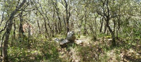 Txubingoko gailur nagusia, Nebera izenekoa