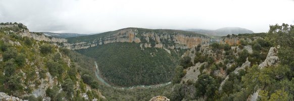 Arbaingo arroila ekialdetik