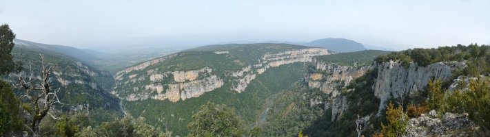 Arbaingo arroila Burgitik