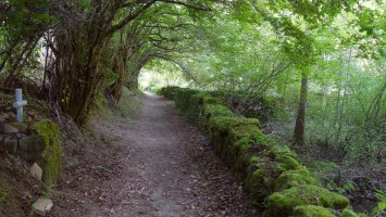 Idoiako Andra Mari ermitarako bidea, Izaba