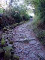 Idoiako Andra Mari ermitarako bidea, Izaba