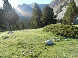 collata de labasar 1