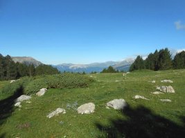 collata de labasar 1