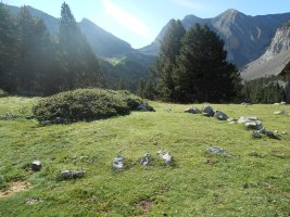 collata de labasar 2