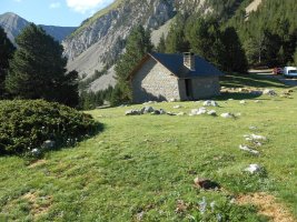 collata de labasar 2