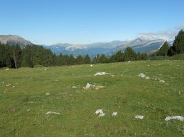 collata de labasar 3