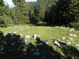 collata de labasar 7