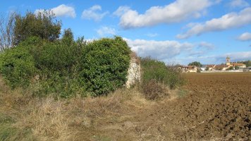 Santa Katalina ermitaren hondakinak, Matauko