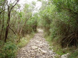 Atxarrera igotzen den bidea