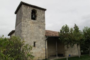 Asunción eliza, Opakua