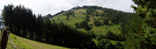 Kalamendi ipar-ekialdetik ikusita