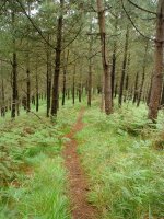 Bideko pasarte bat Tontorramendi inguruan