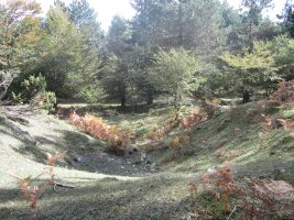 ¿Túmulo Lezana 1 ?        Octubre 2013