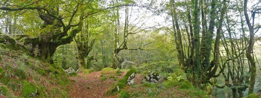 Pagadi ederra, Erbitz eta Zamariborro mendien artean