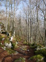 Baraibartik San Migelera igotzen den bidea (PR-NA 82), Otsoita parean.