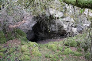 Artzainzulo leizea, Aralar.