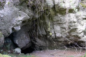 Artzainzulo leizea, Aralar.