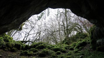 Artzainzulo leizea, Aralar.