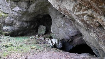 Artzainzulo leizea, Aralar.