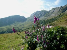 Burustola, Xardekagaina, Buruxietatik