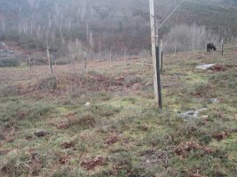 Cromlech La Plana  ( Febrero 2014)