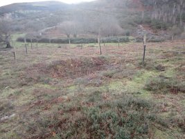 Cromlech La Plana  ( Febrero 2014)