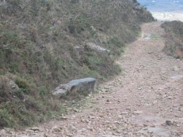 Menhir Androla    (Febrero 2014)
