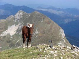 Xardekagaina / Barazea, Kartxelatik