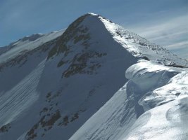 Tontorra, azken lepotik