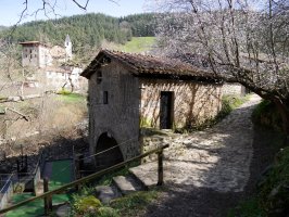 Larruntza burdinola, Ataun