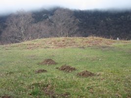 Túmulo Itxurain  (Marzo 2014)