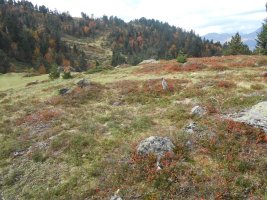 plateau de gouetsoule 1