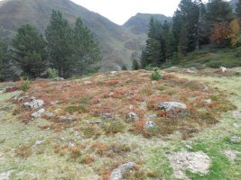 plateau de gouetsoule 2