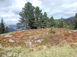 plateau de gouetsoule 2