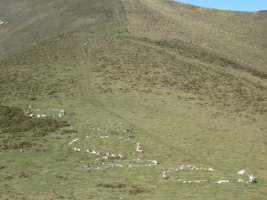 Cromlechs Urgaratako Lepoa  (Marzo 2014)