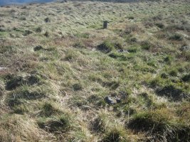 Cromlech Urkamendi Ipar  (Marzo 2014)