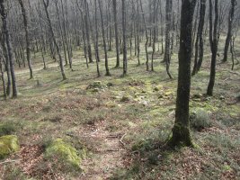 Túmulo Miztortegieta  (Marzo 2014)