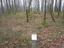 Túmulo Txara  (Marzo 2014)