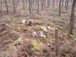 Dólmen Iruso 3  (Marzo 2014)