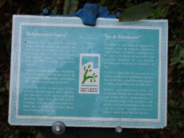 Behorbarroteko hagina, Pagoeta