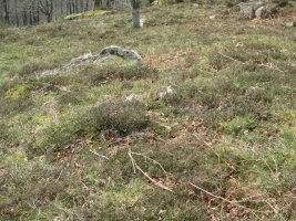 Dólmen Jentillen Arrobie  (Marzo 2014)