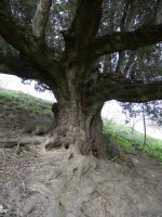 Aizarnazabalgo artea