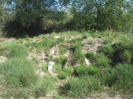 Túmulo Gazteluko Landa   (Abril 2014)